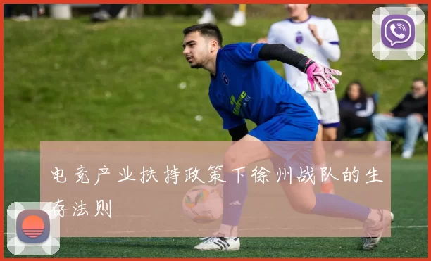 电竞产业扶持政策下徐州战队的生存法则