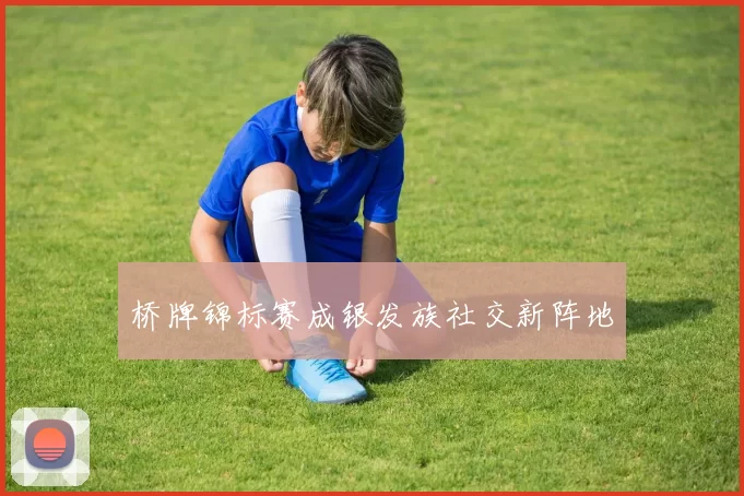 桥牌锦标赛成银发族社交新阵地