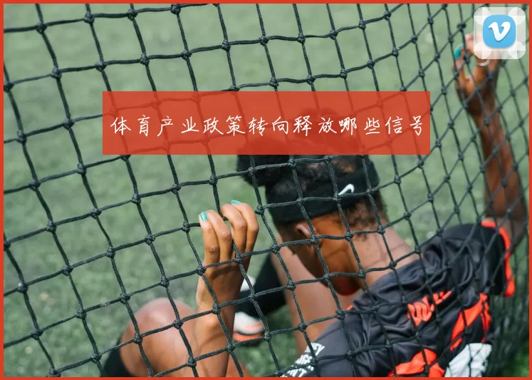 体育产业政策转向释放哪些信号