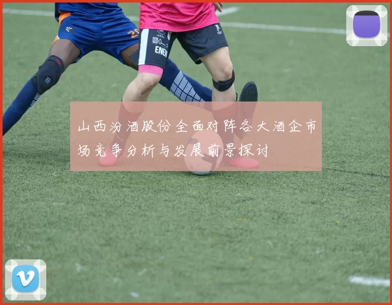 山西汾酒股份全面对阵各大酒企市场竞争分析与发展前景探讨