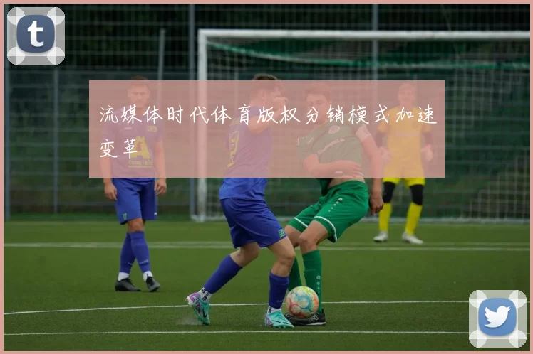 流媒体时代体育版权分销模式加速变革