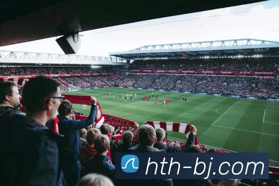 App Interface Preview